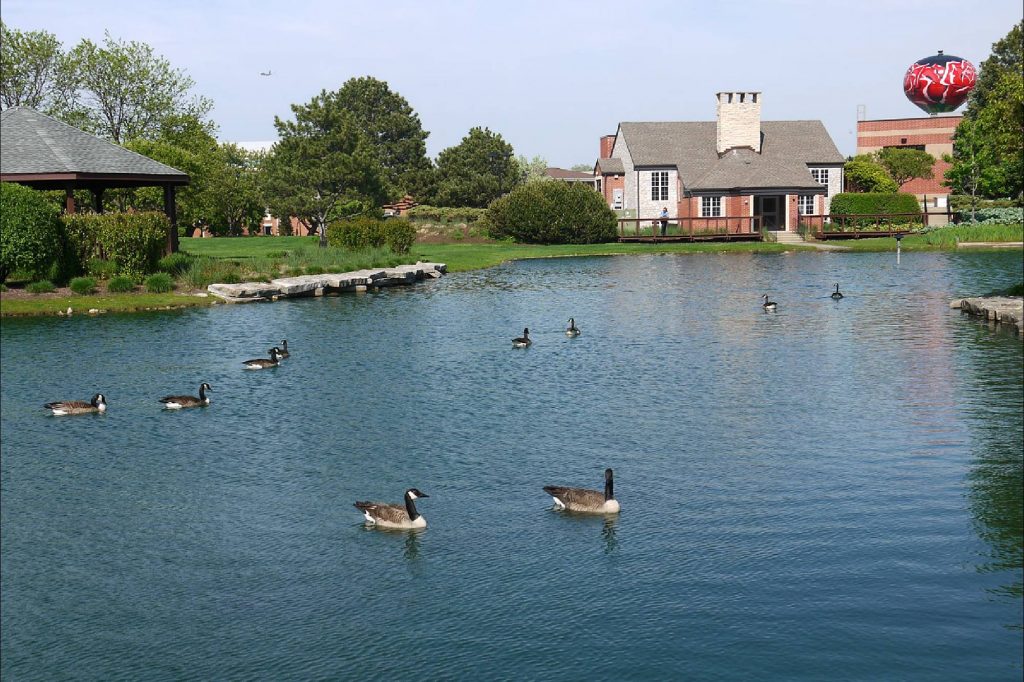 Pond at Dunne Park in Rosemont